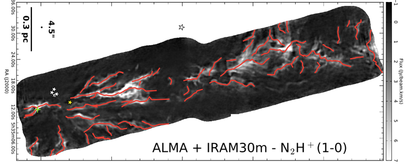 The same image as above, with the filaments traced out.